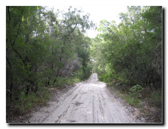 Fraser Island 21